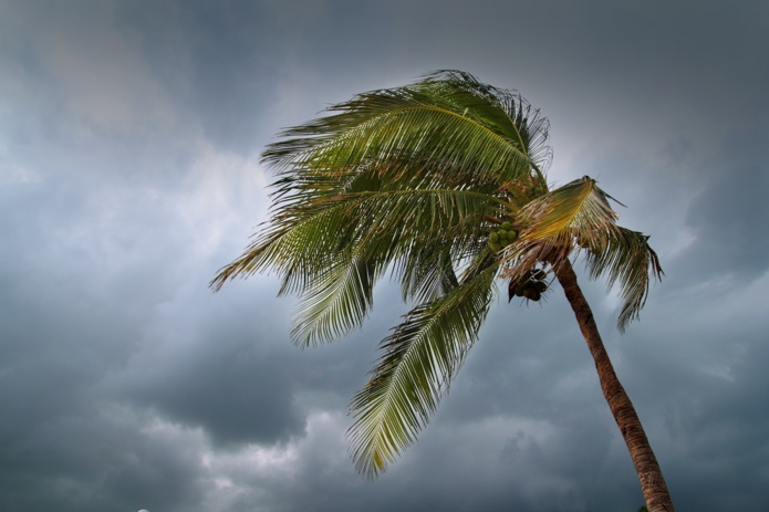 Cyclone Batsirai : les vols au départ et à l’arrivée pour la journée du mercredi 02 février 2022 ont été modifiés et avancés Depositphotos.com Auteur lunamarina et les opérations aériennes sur l’aéroport La Réunion Roland Garros sont suspendus à 15h ce jour et ce, jusqu’à nouvel ordre.