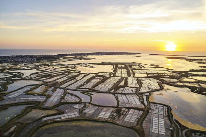 Marais salants de Guérande (OT La Baule-Presqu'ile de Guérande)