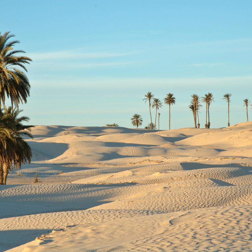 Organiser son voyage en Tunisie Organiser son voyage en Tunisie