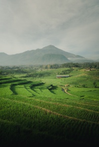 © Ardito Ryan Harrisna - Unsplash