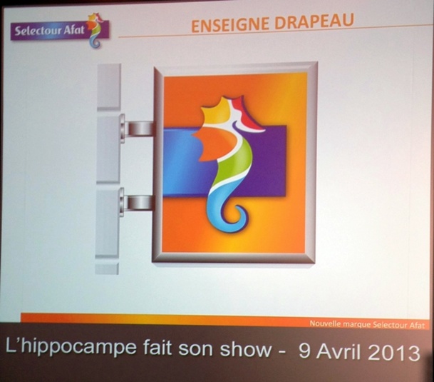 Selectour-Afat : nouveau Directeur Général étrenné en 2014... ou pas ? Selectour-Afat : nouveau Directeur Général étrenné en 2014... ou pas ?