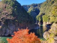 Le webinaire se tiendra le mardi 15 février prochain à 11h pour découvrir la préfecture de Nara (Japon) - DR