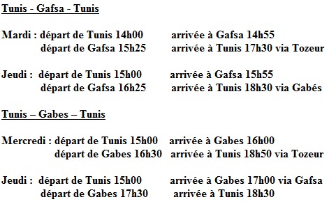 Tunisair : reprise des dessertes de Gafsa et Gabes le 21 janvier 2014