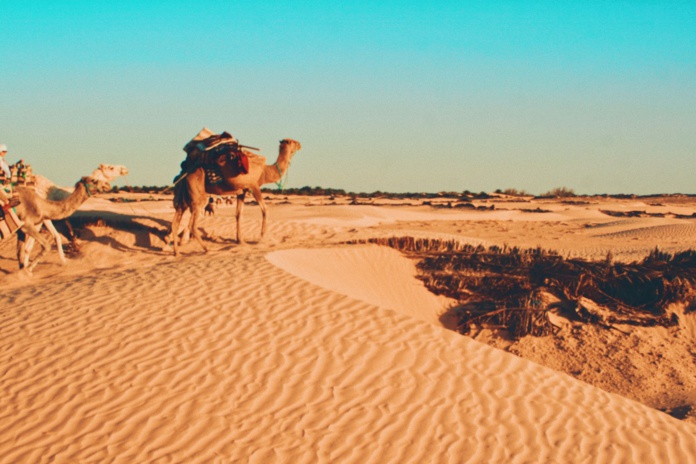 © Greg Keelen - Unsplash