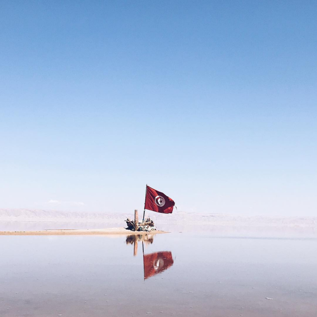 Chat El Jrid © Instagram @mahmoud_essaidi Chat El Jrid © Instagram @mahmoud_essaidi