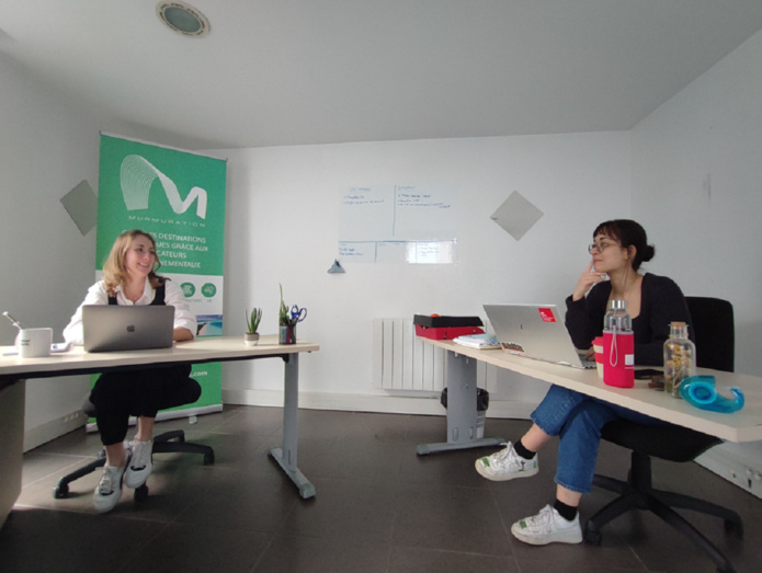 Flockeo renforce son équipe commerciale et s'installe à Lyon