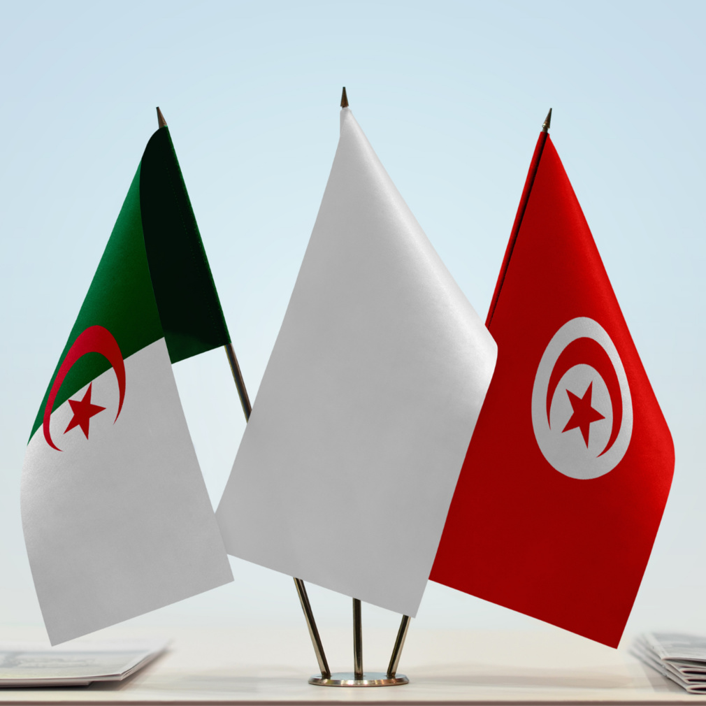 Frontière Algérie / Tunisie : est-ce dangereux ? Frontière Algérie / Tunisie : est-ce dangereux ?