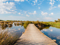 © Pixabay © Pixabay