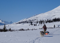 La randonnée en ski-joëring est idéale pour s’évader au cœur de la nature © Raphaëlle Couratin La randonnée en ski-joëring est idéale pour s’évader au cœur de la nature © Raphaëlle Couratin