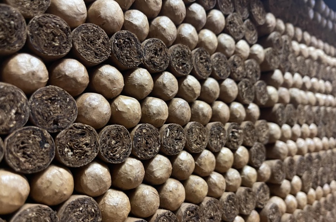 Le tabac fait partie de la culture dominicaine, tradition vieille de plusieurs centaines d'années sous ces latitudes./crédit JDL Le tabac fait partie de la culture dominicaine, tradition vieille de plusieurs centaines d'années sous ces latitudes./crédit JDL