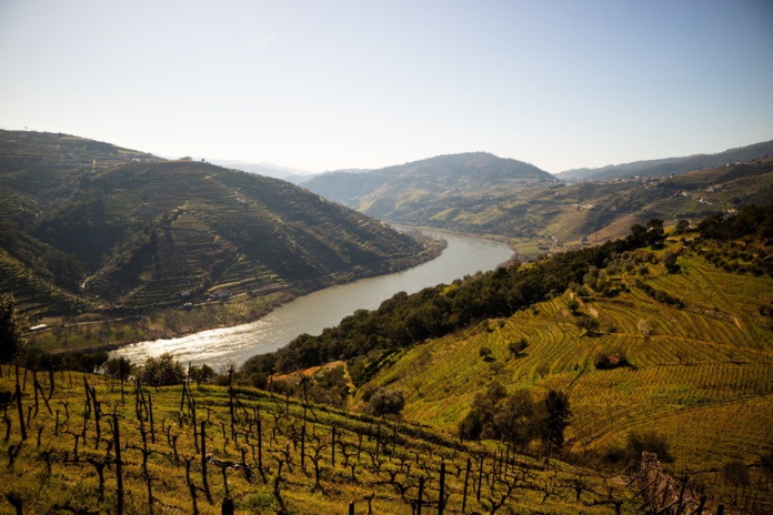 La région du Douro fait partie de la programmation de Magic Roads, marque de Magic Travels - DR
