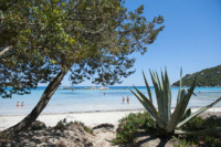 © J-C. Attard © J-C. Attard