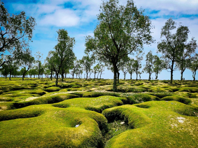 © Tahsin Islam - Unsplash © Tahsin Islam - Unsplash