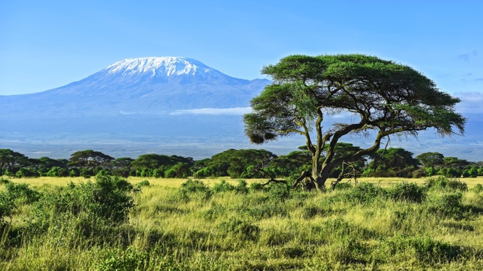 Kenya : les voyageurs vaccinés dispensés de test avant départ