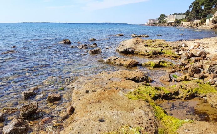 Juan-les-Pins en PACA, première destination pour les clients de VVF cet été - DR : Depositphotos, Gianliguori