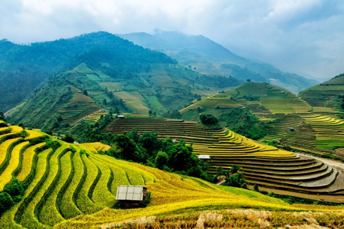 Voyage Vietnam : les autorités ont annoncé la levée de la quarantaine - Depositphotos.com Auteur degist83