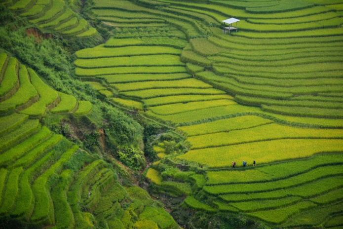 © Doan Tuan - Unsplash