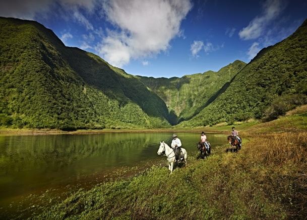 Le décor splendide de l’île de La Réunion a servi de cadre aux 7e Rencontres du SNAV et ne pouvait pas donner un meilleur encouragement aux congressistes afin de relier les 2 mondes, celui du virtuel et du réel.