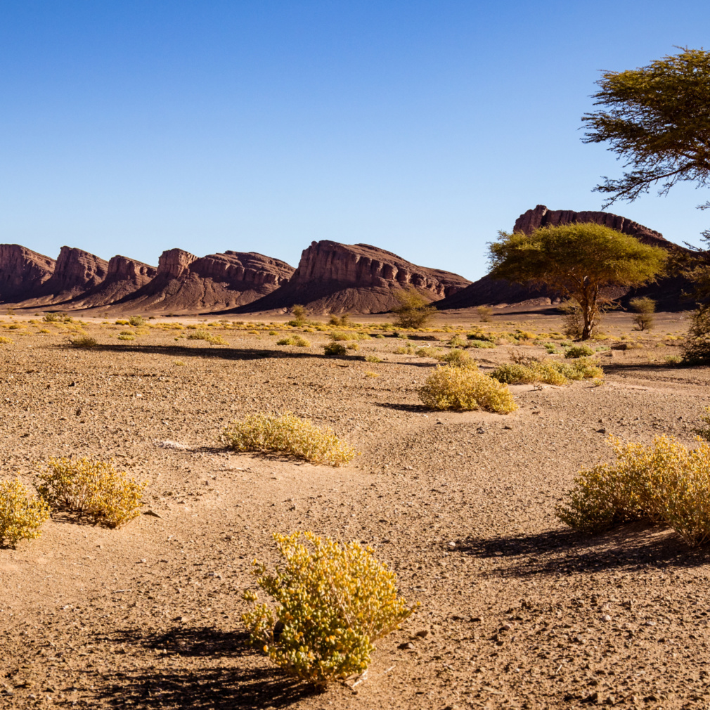 L'ouverture des frontières Marocaines pendant la pandémie