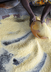 © N. Quendez - CTG © N. Quendez - CTG