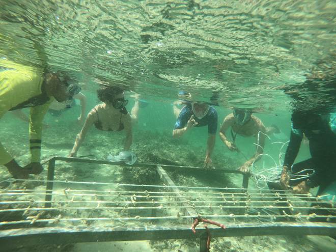 La ferme du corail de La Pirogue. @Sun Resorts