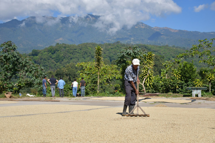 Voyage équitable au Guatemala (©Bio Destination) Voyage équitable au Guatemala (©Bio Destination)