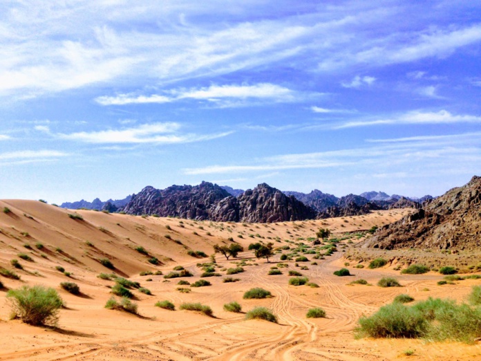 © Rabah Al Shammary - Unsplash
