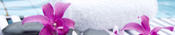 Le Mondial Spa & Beauté 2014, Paris, Grande Halle de la Villette le 15, 16 et 17 mars 2014