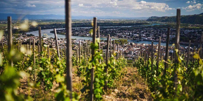 La Vallée de la Gastronomie suit le Rhône sur 620 km d'expériences gastronomiques (©DR)