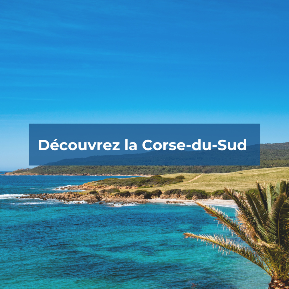 Découvrez la Corse-du-sud avec VoyageursMaG Découvrez la Corse-du-sud avec VoyageursMaG