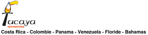 Venezuela : 1 free night in Los Roques Archipelago! Venezuela : 1 free night in Los Roques Archipelago!