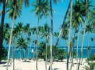 Vacances Transat : offres spéciales agents de voyage Vacances Transat : offres spéciales agents de voyage