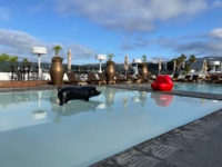 Belle vue, baignade et pop art sur toit de l'hôtel SLS - DR