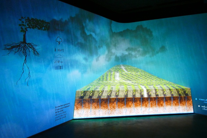 Un parcours ludique et sensoriel - DR : Pressoria Un parcours ludique et sensoriel - DR : Pressoria