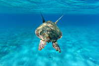 © Margot Sib - Studio Ponant © Margot Sib - Studio Ponant