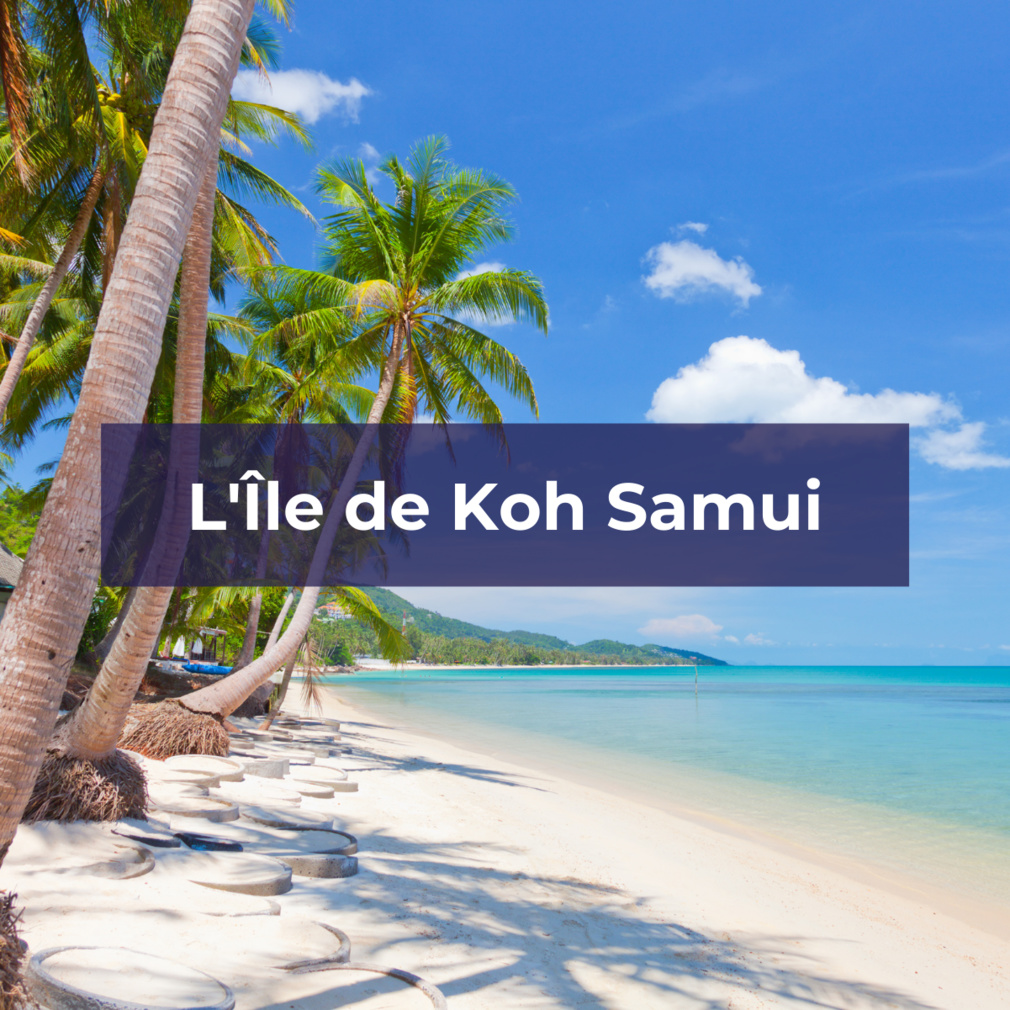 Découvrez l'Ile de Koh Samui avec TourMaG Découvrez l'Ile de Koh Samui avec TourMaG
