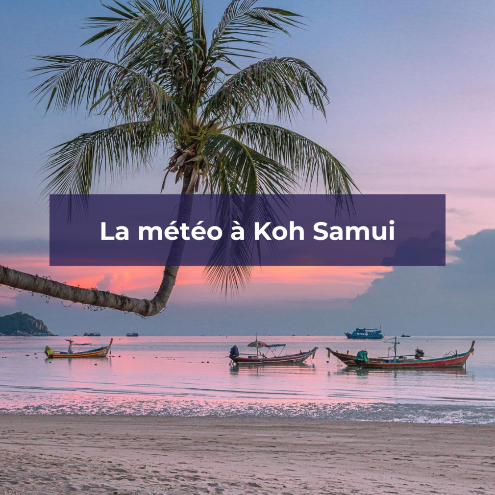 La météo thaïlandaise à Koh Samui - Koh Tao (2), Thaïlande - Instagram © @the.travelling.teeth La météo thaïlandaise à Koh Samui - Koh Tao (2), Thaïlande - Instagram © @the.travelling.teeth