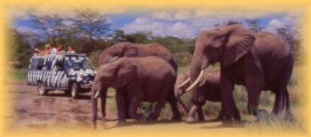 African Safari Club fait gagner un voyage au Kenya