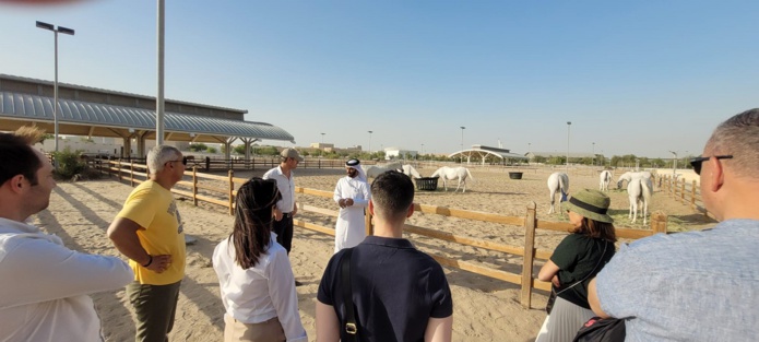 Visite des écuries royales d’Al Shaqab, avec ses purs sangs arabes, et son centre d'entrainement digne des plus grands clubs de sport au monde - DR : A.B.