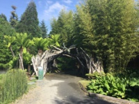 Terra Botanica, l’aventure du végétal - DR : J.-P. C. Terra Botanica, l’aventure du végétal - DR : J.-P. C.