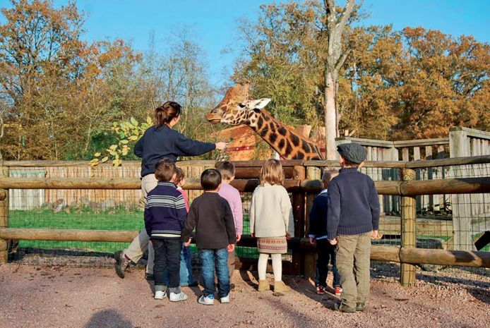 Diveersité des expriences et des modèles économiques à partager (©Goûter des girafes au Pal) Diveersité des expriences et des modèles économiques à partager (©Goûter des girafes au Pal)