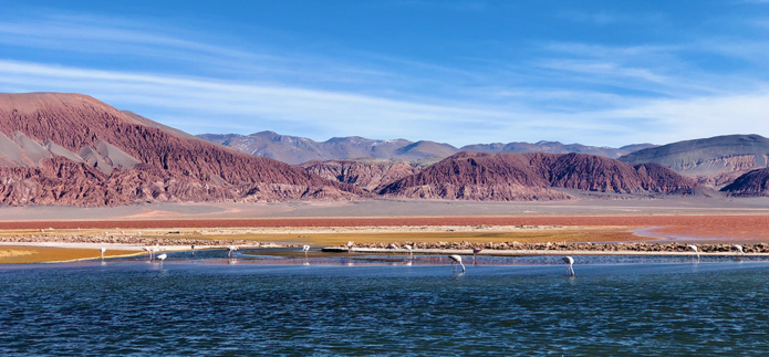 Laguna Carachi Pampa