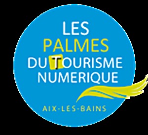 "Palmes du Tourisme Numérique" TourMaG.com/iTourisme, partenaires d’Atout France