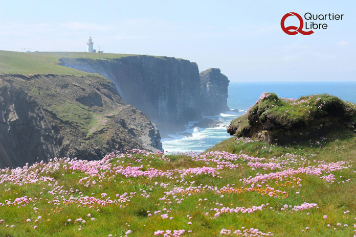 © Photo de Marian Brandt sur Unsplash © Photo de Marian Brandt sur Unsplash