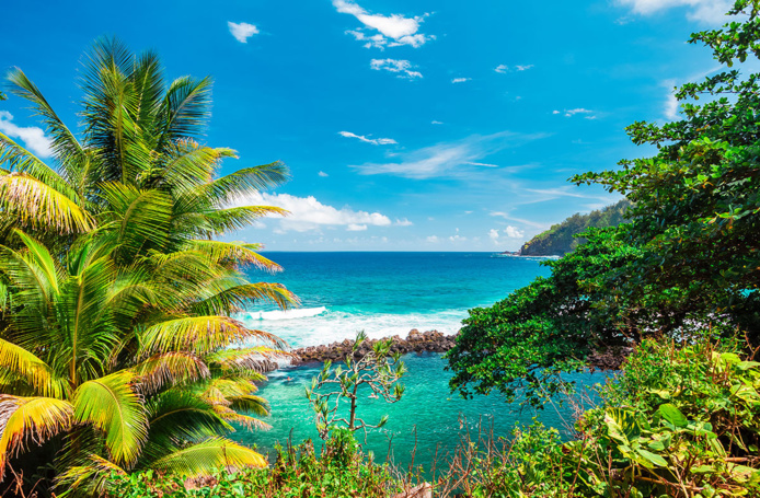 © Endémikimages © Endémikimages