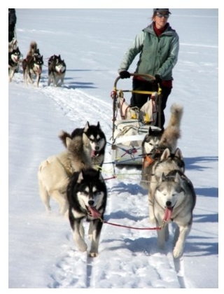 Nortours/Sept et Demi : circuits et séjours groupe « prêt à vendre » Nortours/Sept et Demi : circuits et séjours groupe « prêt à vendre »