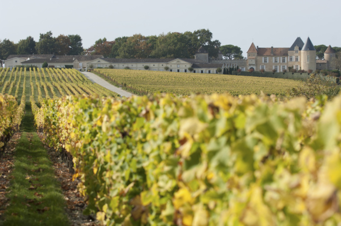 Vignoble de Sauternes autour du Château Yquem (©DR)
