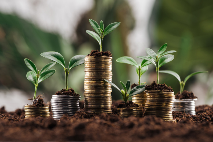GreenGo pourra compter sur près de 2 millions d’euros d’argent frais pour dérouler sa feuille de route - DR : Vadim Vassin GreenGo pourra compter sur près de 2 millions d’euros d’argent frais pour dérouler sa feuille de route - DR : Vadim Vassin