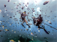 © OT République Dominicaine © OT République Dominicaine