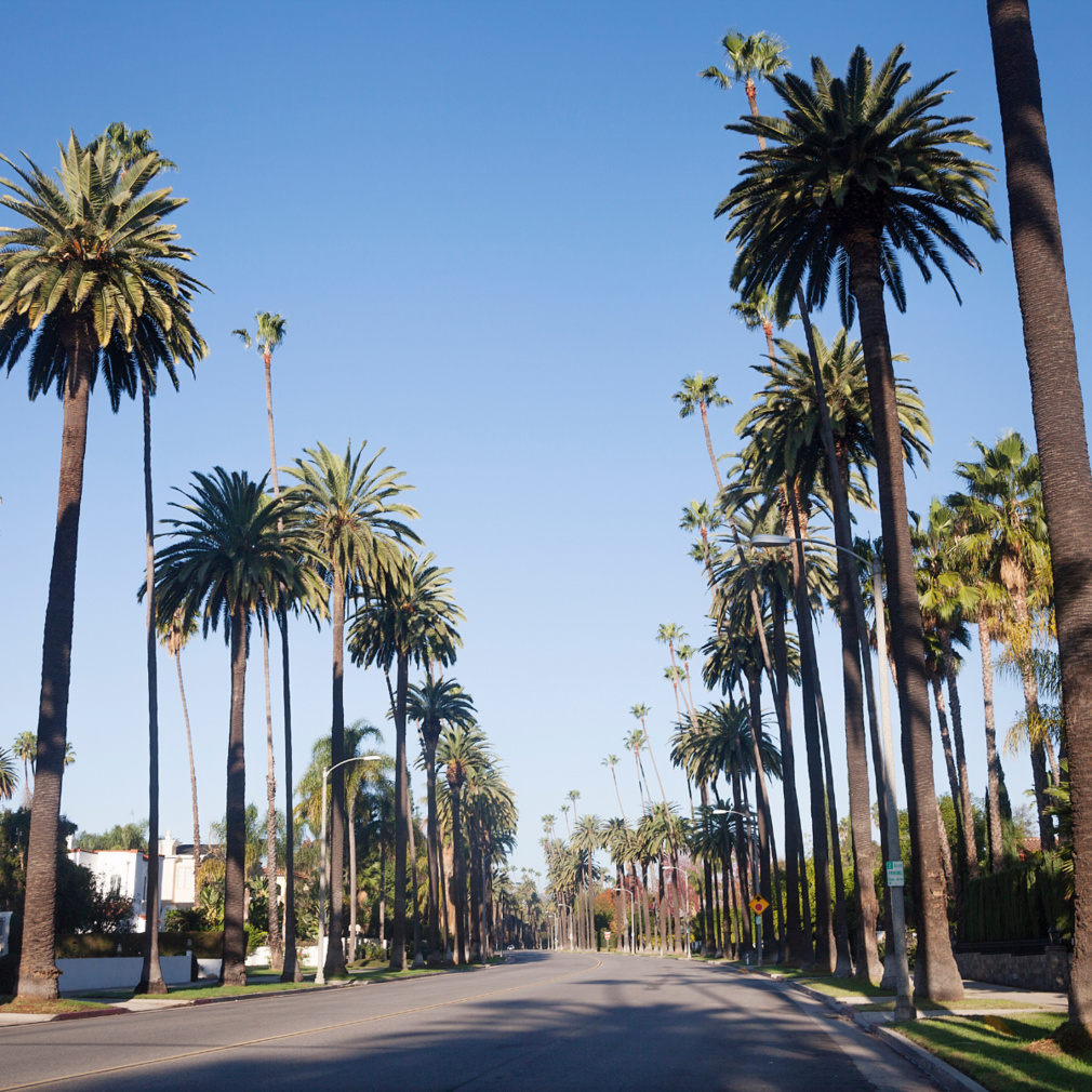 Los Angeles : Que devez-vous absolument voir ?
